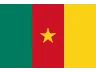 Flag CM