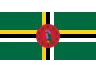 Flag DM