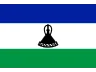Flag LS