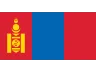 Flag MN