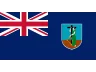 Flag MS