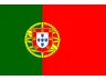 Flag PT