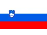 Flag SI