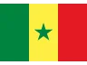 Flag SN