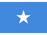 Flag SO