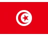 Flag TN