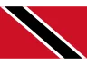 Flag TT